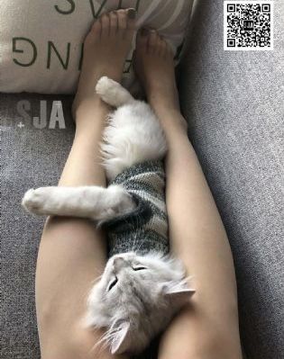 亚洲影院天堂_蓝光电视剧在线观看