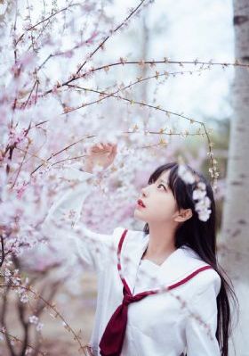 7788色淫网站免费视频下载_4K视频大全